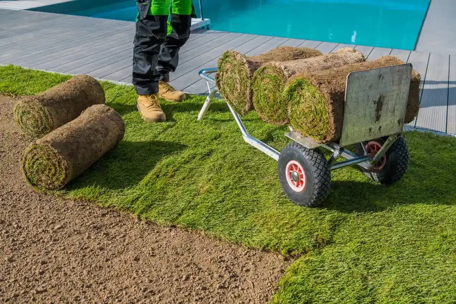 How Sod Installation Can Improve Your Propertys Value Raleigh, NC How Sod Installation Can Improve Your Propertys Value Raleigh, NC